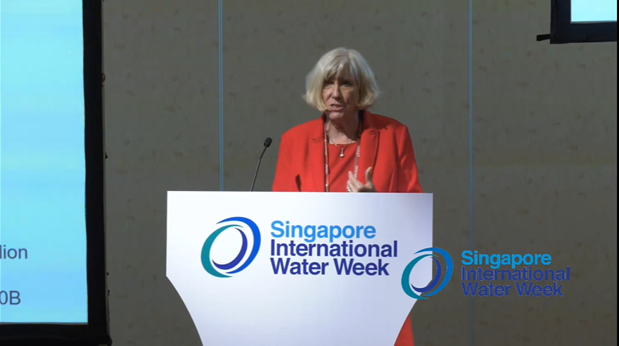 Session 5.7 Water Quality/Food Safety Nexus: From Safely Managed Drinking Water through WSP to HACCP for Food Safety (Organised with FAO)